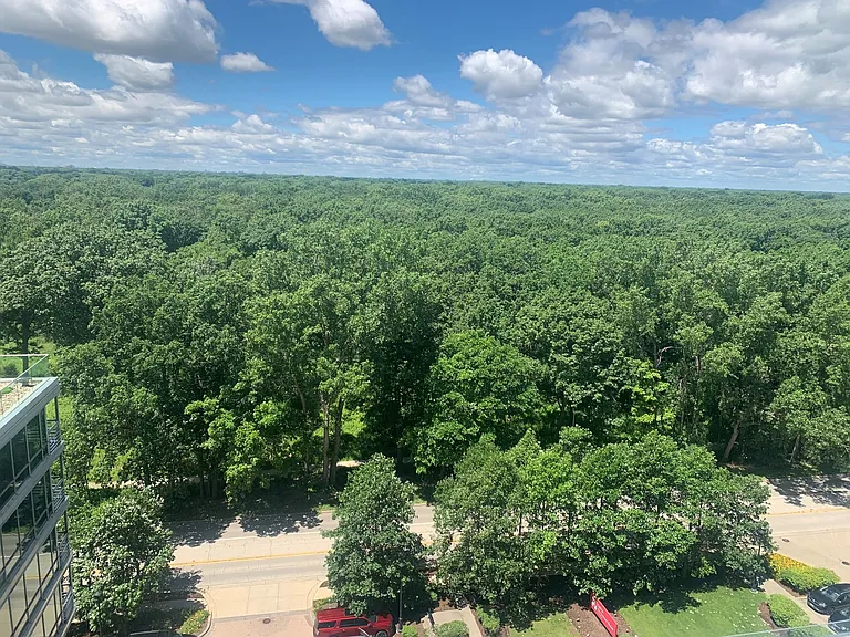 9655 Woods Dr #1208 — Photo 39