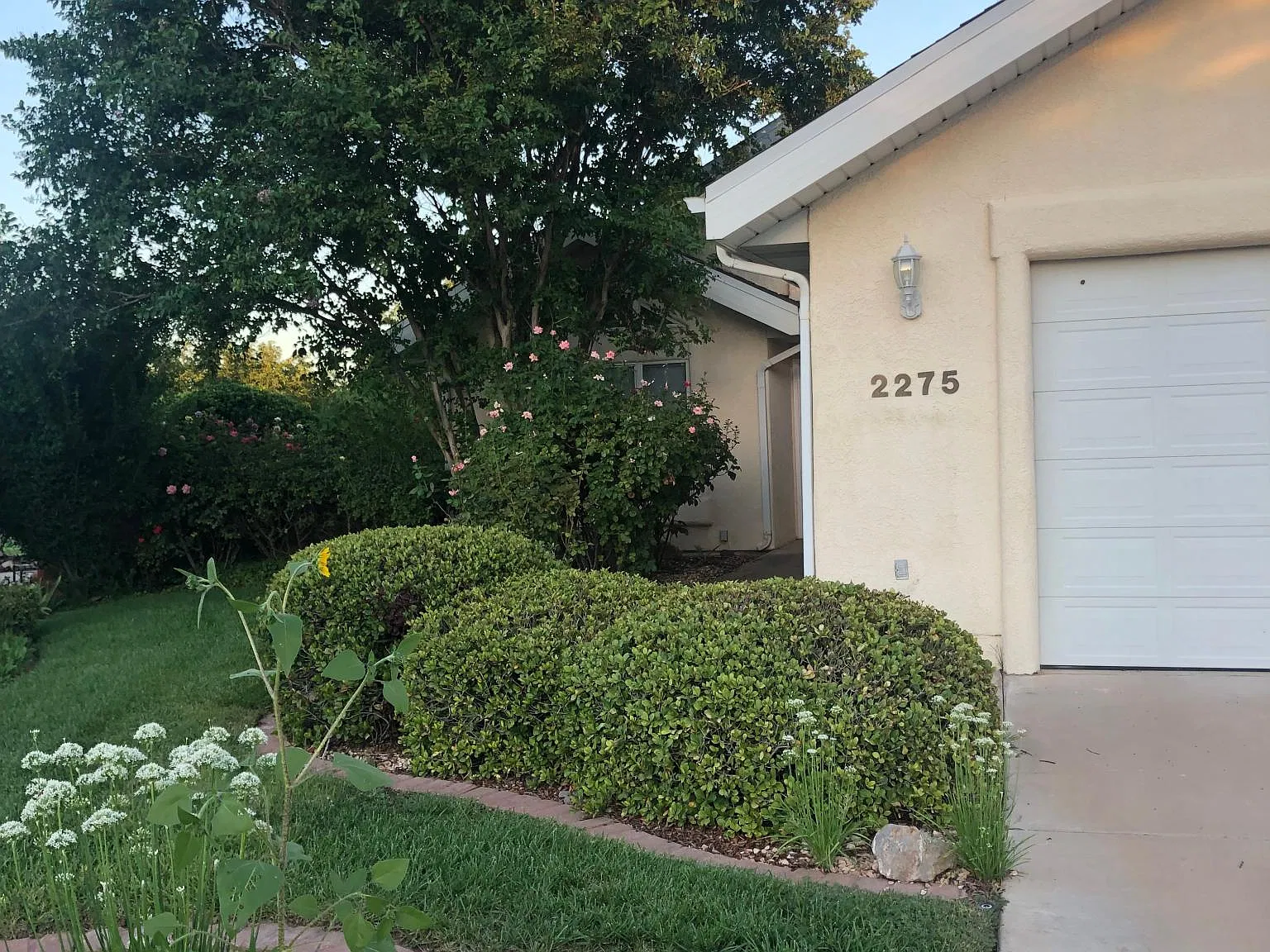 Modena Cir, Saint George — Photo 2