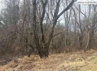 5K River Run Ln, Sparta, NC 28675