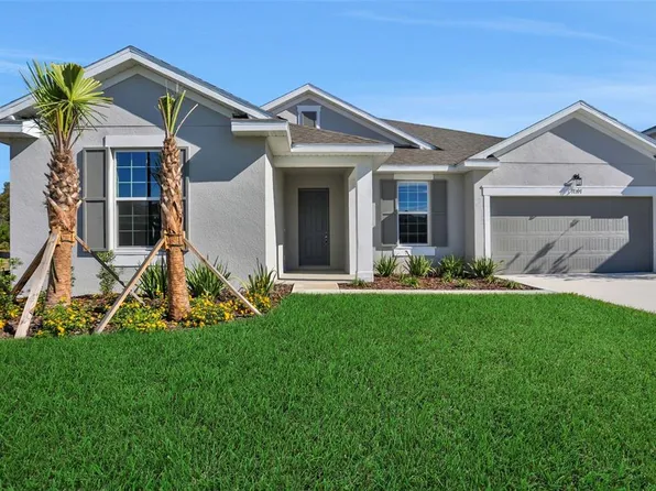 17397 Crisp Apple Ln, Land O Lakes, FL 34638