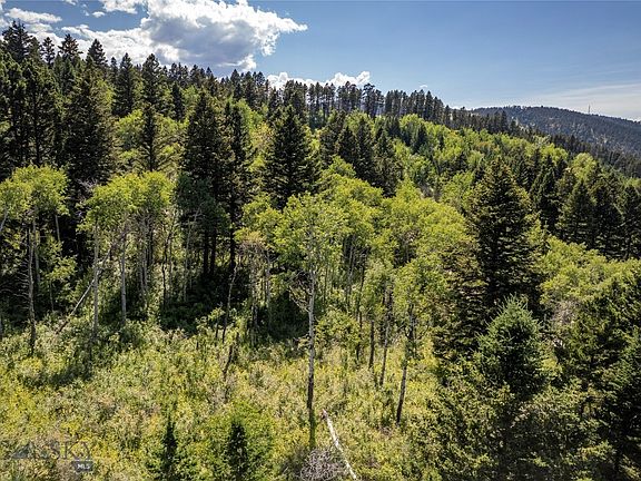 4th image of Tbd Livingston Peak Rd