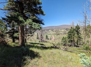 785 Duckworth Dr, Fort Garland, CO 81133