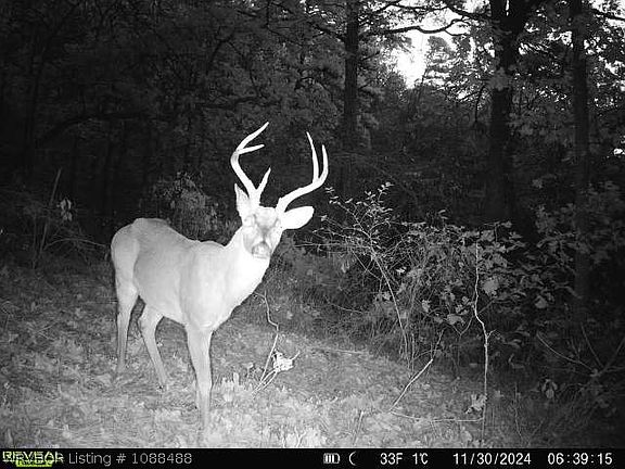 5th image of Hog Thief Valley Rd