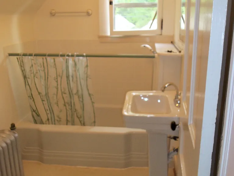 stand up shower has been added in tub