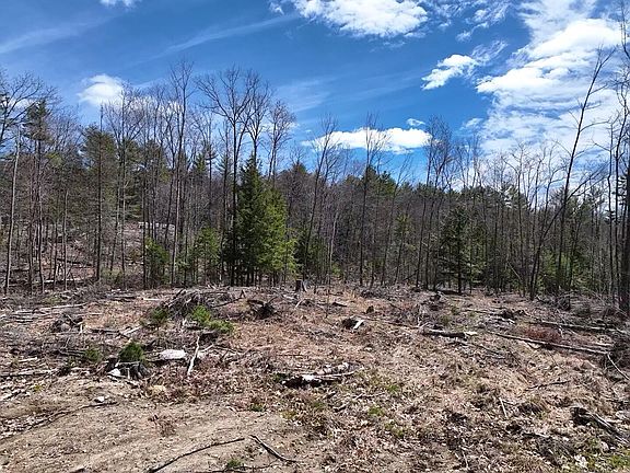 3rd image of 303 Common Road