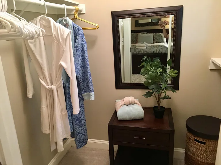 Walk in guest closet