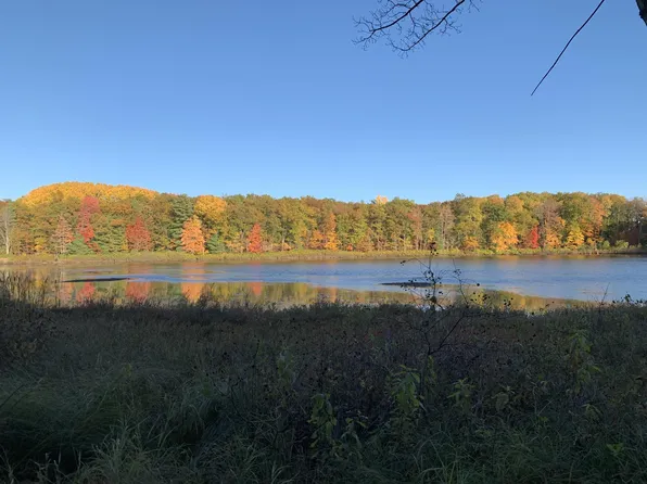 6396 Sunshine Dr, Irons, MI 49644