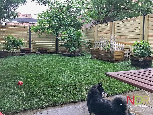 Rented by Next Door Realty NYC | media 22