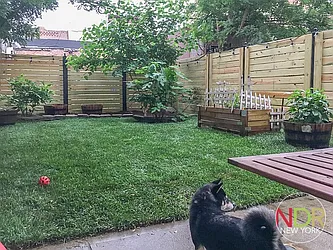 Rented by Next Door Realty NYC