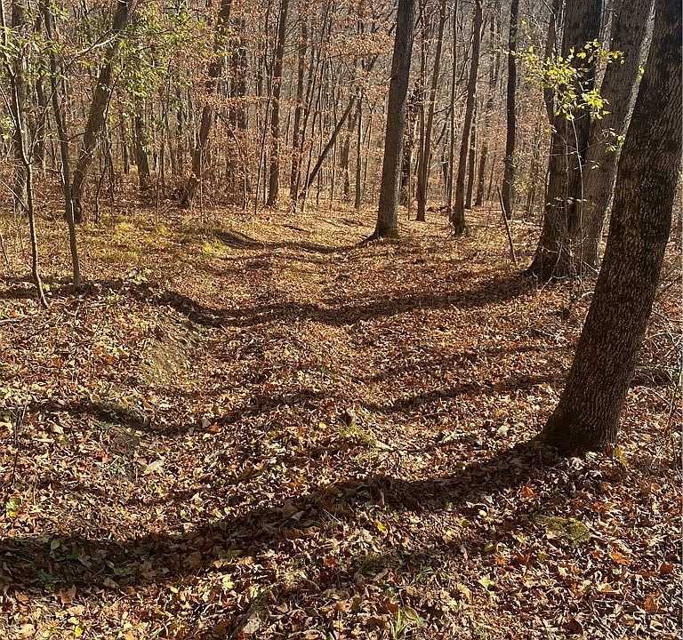 1st image of State Route 417 Valley #Elm