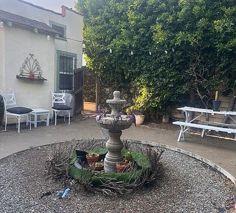 Large backyard with orange and lemon tree