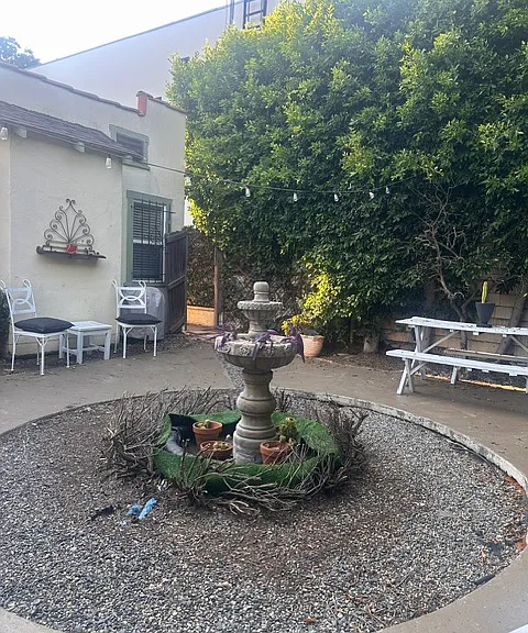 Large backyard with orange and lemon tree