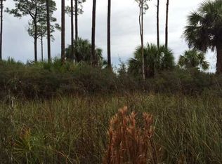 407 Windmark Way, Port Saint Joe, FL 32456