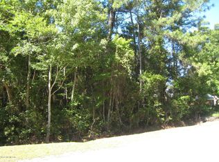 584 Magnolia Ave, Saint Johns, FL 32259