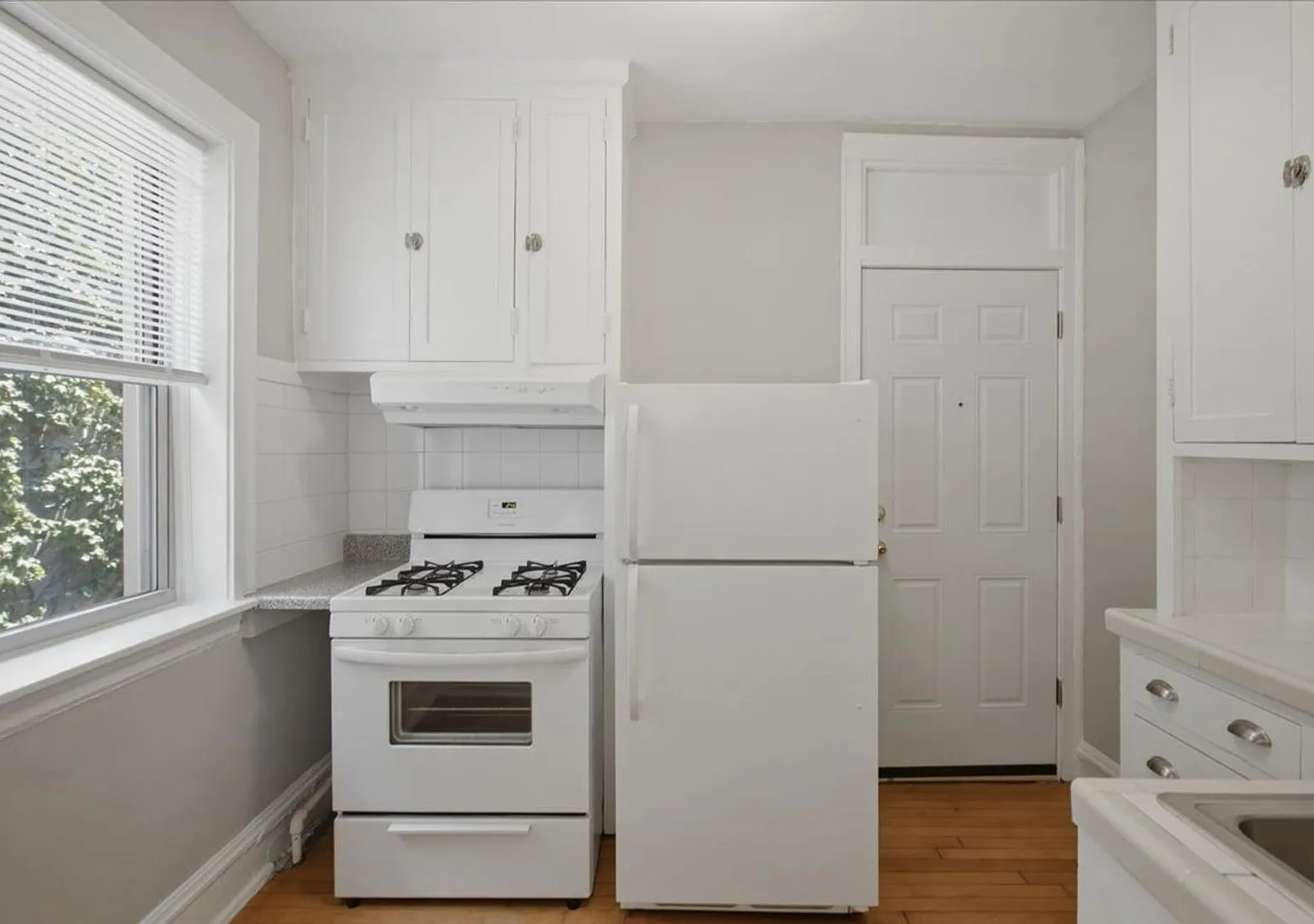 Large One Bedroom in Andersonville — Photo 4