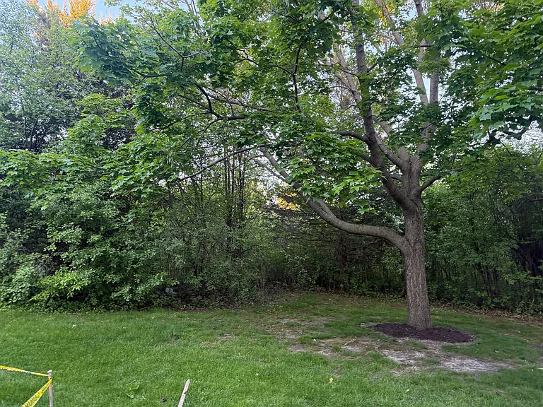 87 Braxton Ln — Photo 3