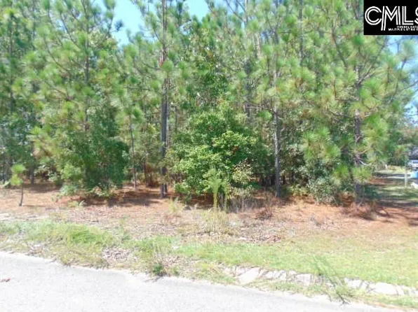 113 Arrowpoint Dr, Gaston, SC 29053