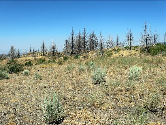 5th image of 0 Juniper Valley Dr