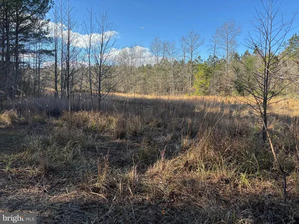 LOT 4B Mollyfield Rd, Dagsboro, DE 19939