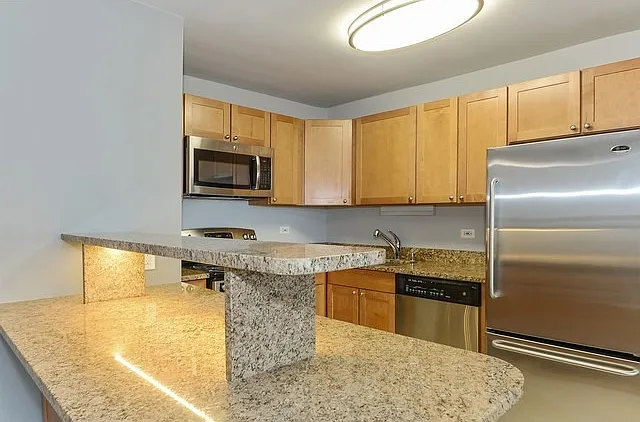 655 W Irving Park Rd #2508 — Photo 2