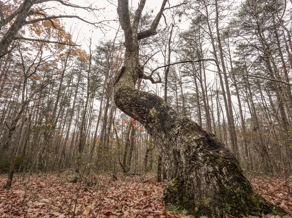 0 Industry Dr, Spencer, TN 38585