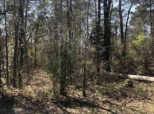 31 Highway, Hallsville, TX 75650