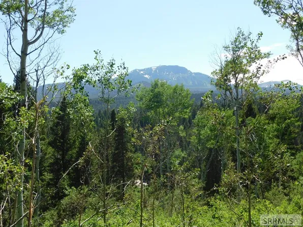 4907 Shadow Wood Ln, Island Park, ID 83429