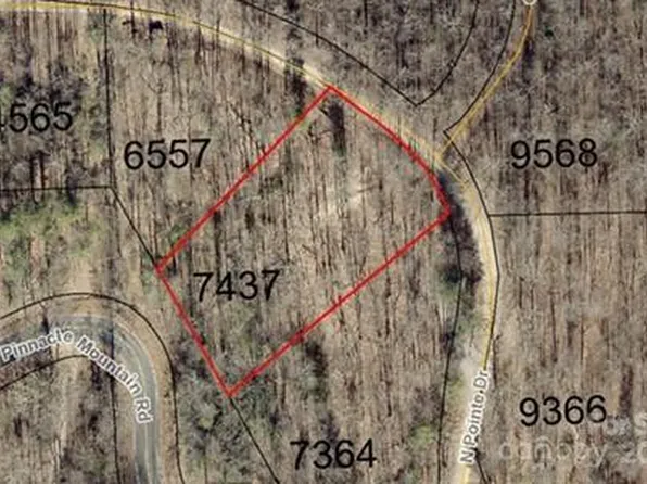 99999 N Pointe Dr #2, Zirconia, NC 28790