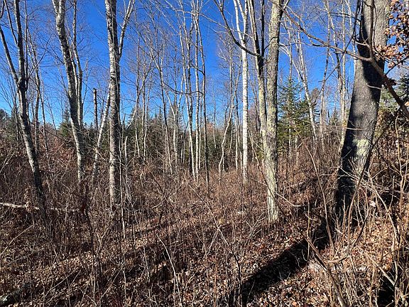 3rd image of On Heart Lake Rd