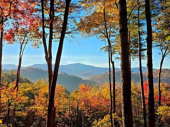 4th image of 3 Gold Ridge Trl