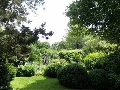 Oak Ln — Photo 11