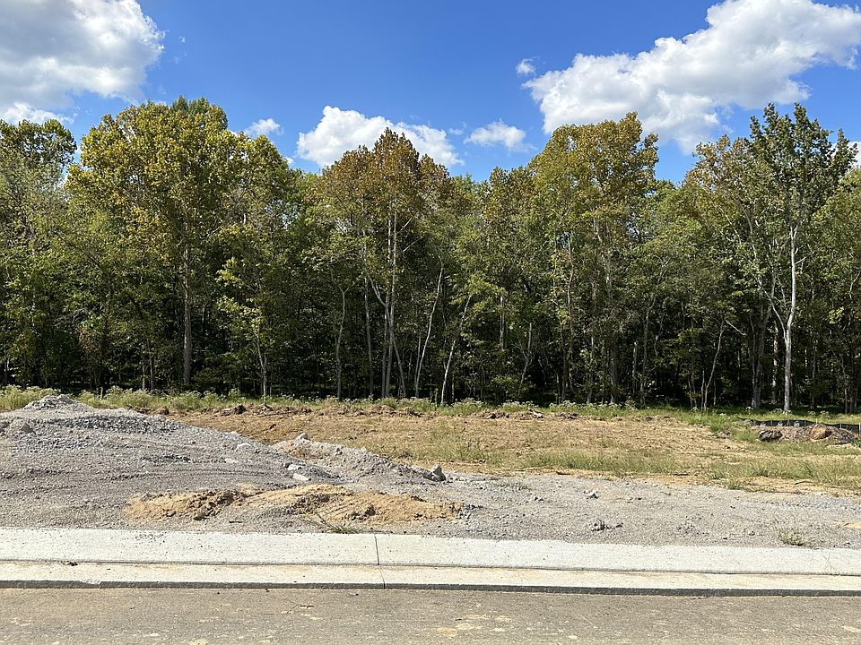 Large home site lined with trees