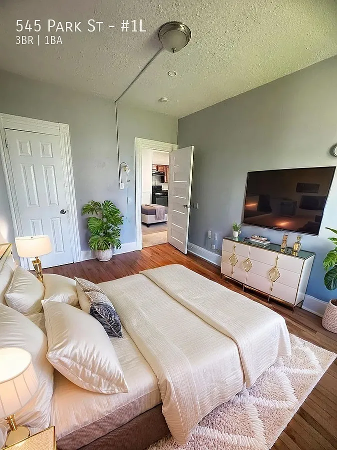 545 Park St - #1L — Photo 2