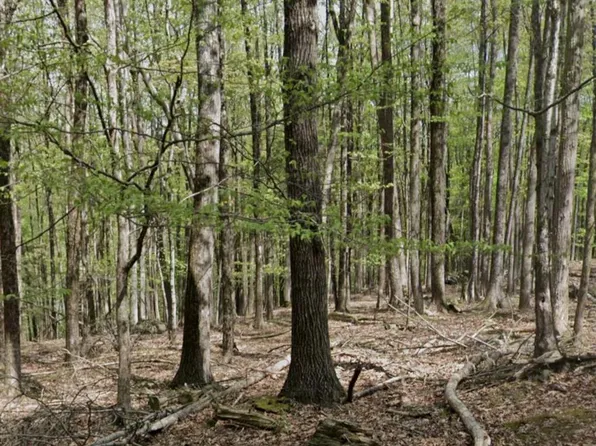 Tiffany Rd, Hawley, PA 18428