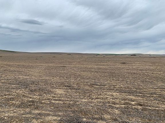 Home, shop, livestock