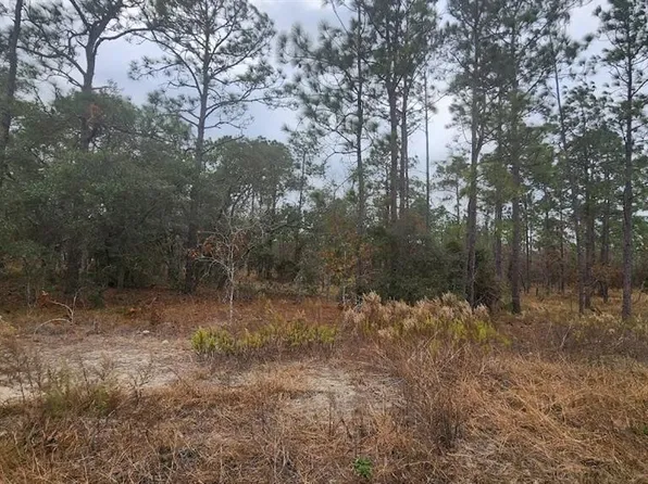 NW Mandrake Dr Lot 17, Dunnellon, FL 34431