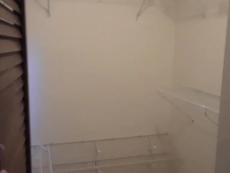 Walk-in closet in Master Bedroom