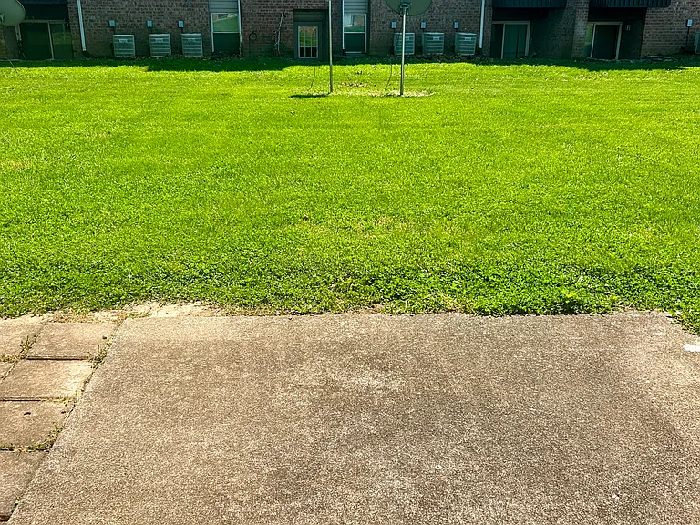 Back patio area