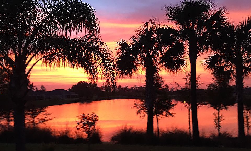 Sunrise in the backyard 