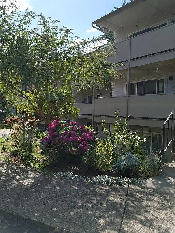 Rochelle Apartments — Photo 1