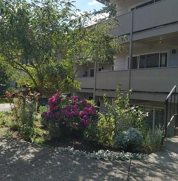 Rochelle Apartments — Photo 1