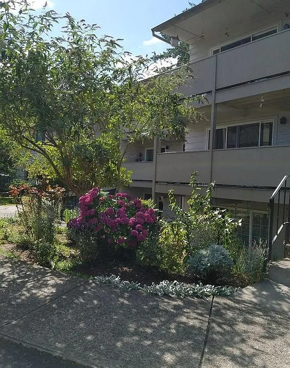 Rochelle Apartments