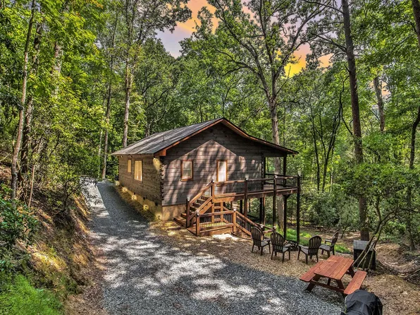 680 Hidden Lake Dr, Cherry Log, GA 30522