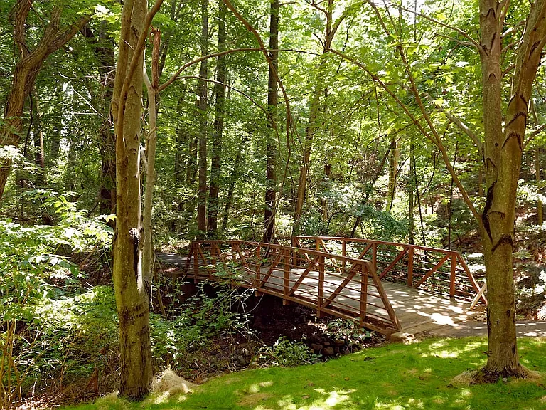 Nearby wooded nature trail running routes and pathways