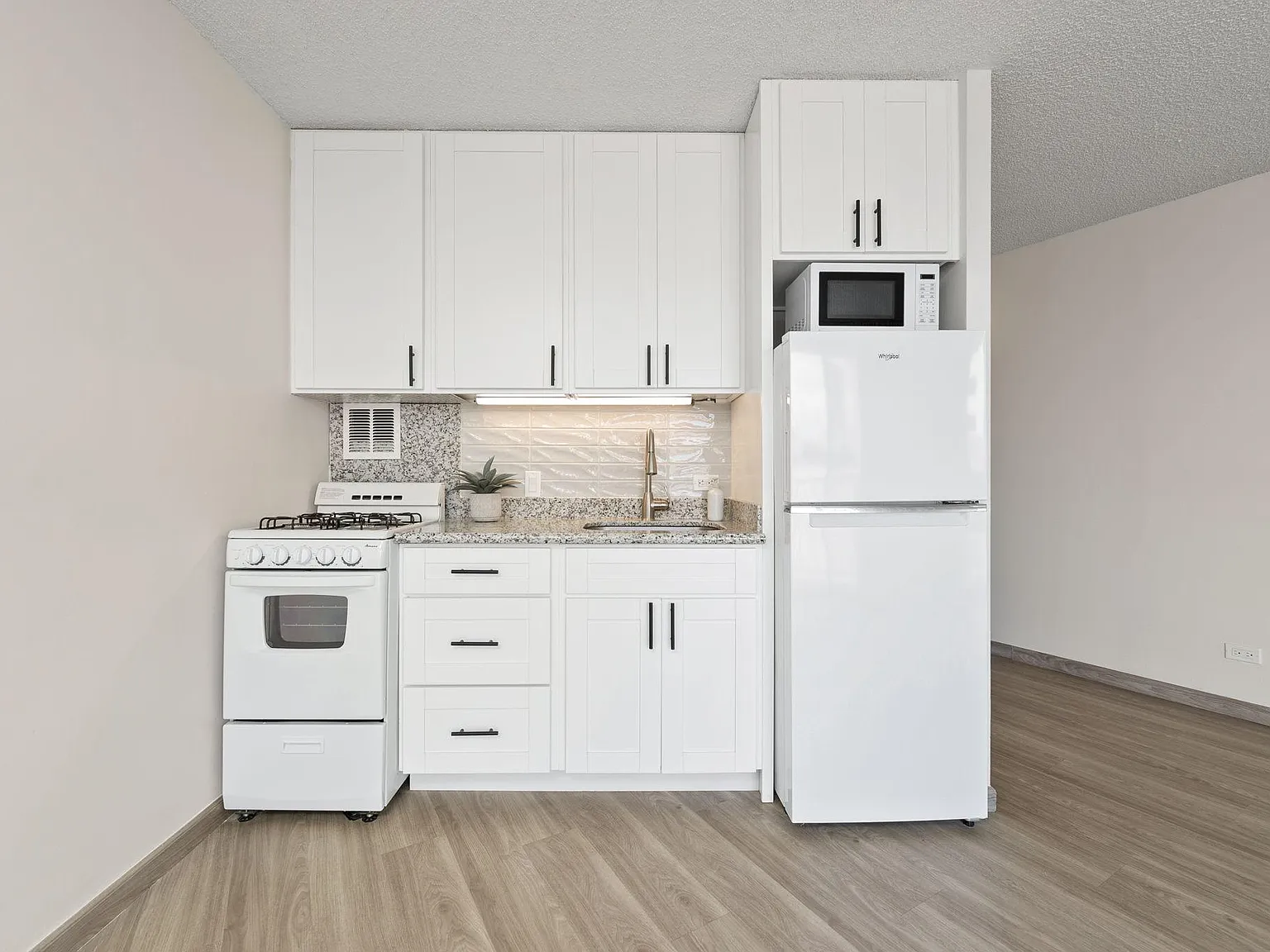Studio, 318 sqft, $1,700 — Photo 2