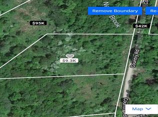 Country Rd, Schenevus, NY 12155