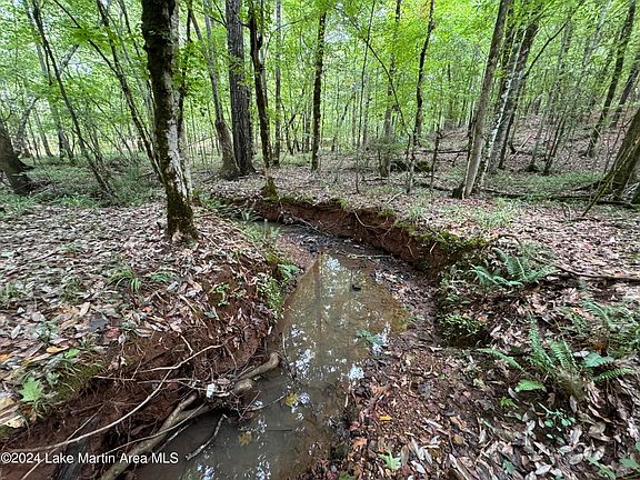 3rd image of 4184/- Acres On Al Hwy #50