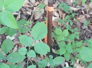 163 Oregon Rd, Lunenburg, VT 05906