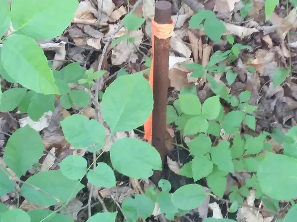 163 Oregon Road, Concord, VT 05824-0317