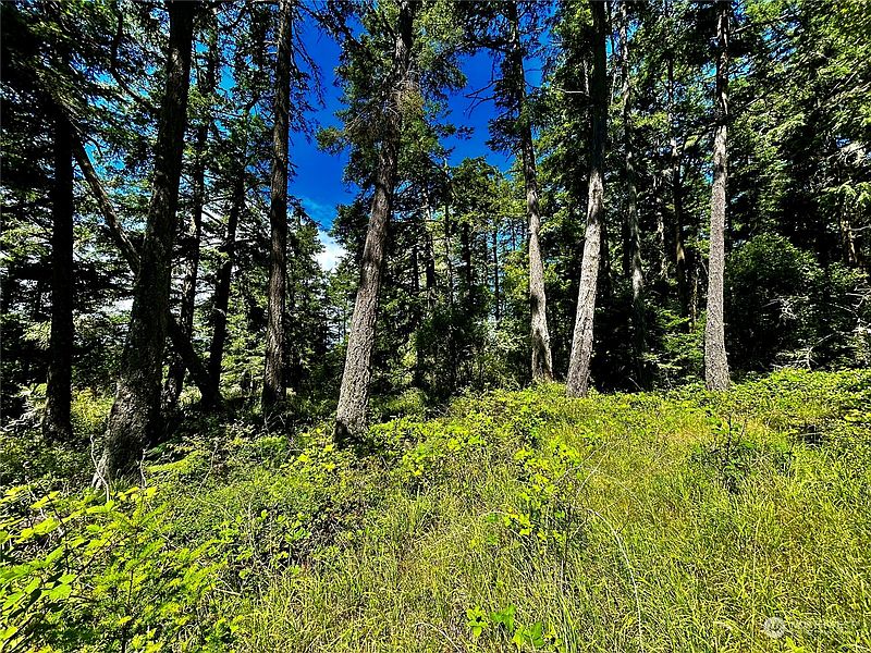 4th image of 0 Salmonberry Lane